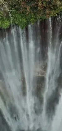 This live phone wallpaper showcases a mesmerizing scene of a waterfall in a forest
