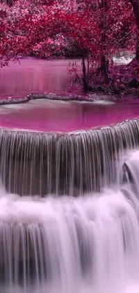 If you're looking for a phone wallpaper that will transport you to a magical and serene place, check out this beautiful live wallpaper! Featuring a stunning waterfall flowing through a pink forest, this wallpaper is sure to take your breath away