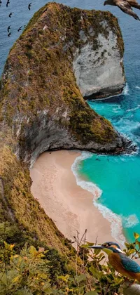 This phone live wallpaper showcases picturesque scenery of a serene beach and ocean