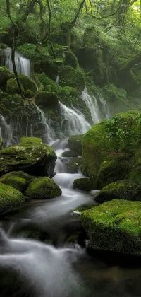 This phone live wallpaper showcases a serene Japanese forest with a crystal-clear stream flowing through it
