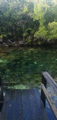 Introducing our phone live wallpaper featuring a calming nature scene