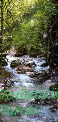 Free Photo  Beautiful view of a stream flowing through the green forest