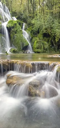 This live wallpaper features a picturesque waterfall located in the middle of a dense forest