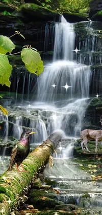 Nature Waterfall  Live Wallpaper