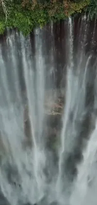Get mesmerized by the beauty of nature with this stunning live wallpaper featuring a large waterfall amidst a lush forest