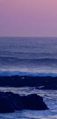 Bring the excitement of surfing straight to your phone with this stunning live wallpaper