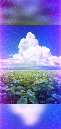 This live wallpaper for mobile phones showcases a field full of colorful flowers under a cloudy sky