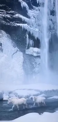 Water Water Resources Snow Live Wallpaper