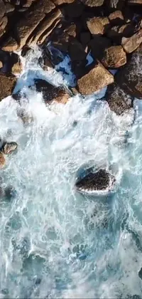 This bird's eye view live wallpaper captures the natural beauty of a rocky water terrain