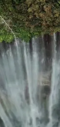 This phone live wallpaper depicts a group of people standing in front of a magnificent waterfall
