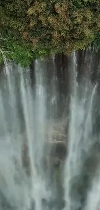 Enjoy the serenity of a beautiful forest waterfall with this phone live wallpaper