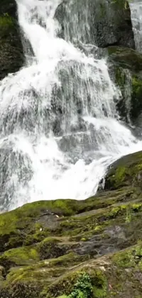This mobile live wallpaper features a breathtaking waterfall with moist moss-covered stones in the foreground