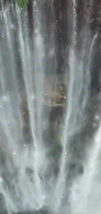 Water Waterfall Forest Live Wallpaper