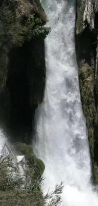 Experience the beauty of nature with this incredible phone live wallpaper featuring an majestic waterfall