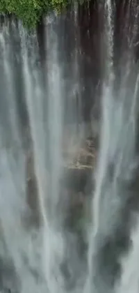 Water Waterfall Grass Live Wallpaper