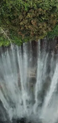 Water Waterfall Grass Live Wallpaper