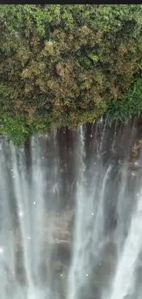 Water Waterfall Grass Live Wallpaper