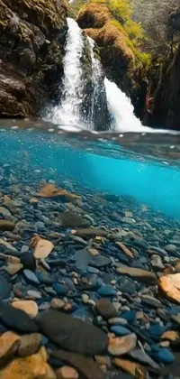 Enhance your phone's aesthetics with this stunning live wallpaper featuring a serene waterfall in the middle of a river, surrounded by smooth and rugged rocks