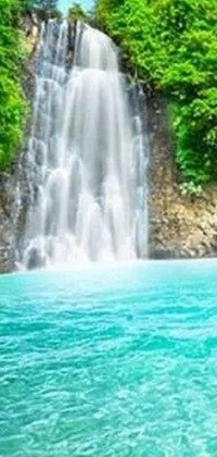 This breathtaking live wallpaper captures the splendor of a waterfall set amidst a serene body of water
