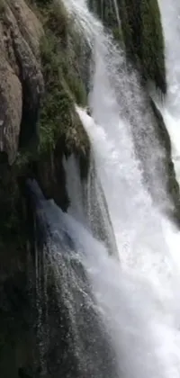 This live wallpaper features a stunning blue bird perched on the edge of a waterfall, with the cascading foaming water crashing down an impressive height of 8 feet below