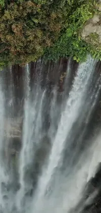 Water Waterfall Leaf Live Wallpaper