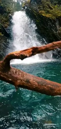Water Waterfall Outdoor Live Wallpaper