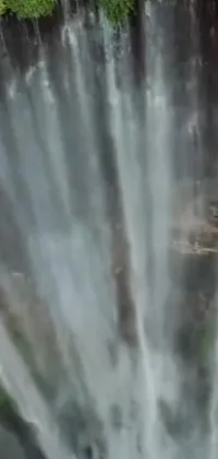 This live wallpaper portrays two magnificent elephants standing in front of a breathtaking waterfall