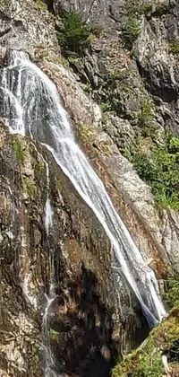 Introducing a stunning live wallpaper featuring a waterfall flowing out of a mountain on a sunny summer day