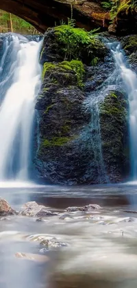 This live wallpaper showcases a serene scene of a waterfall cascading through a verdant forest