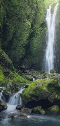 This live wallpaper showcases a breathtaking waterfall surrounded by lush greenery in a forest