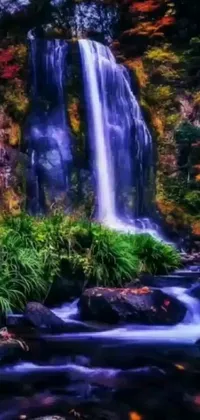 Experience the soothing beauty of nature with this stunning live wallpaper for your phone