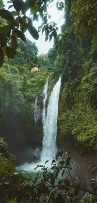 This live phone wallpaper captures the breathtaking beauty of a rainforest waterfall