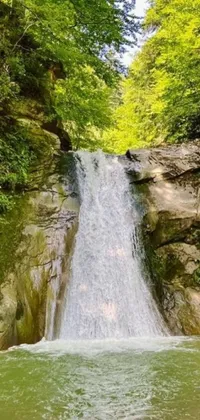 Experience the serenity of a lush green forest with a stunning waterfall as your live wallpaper