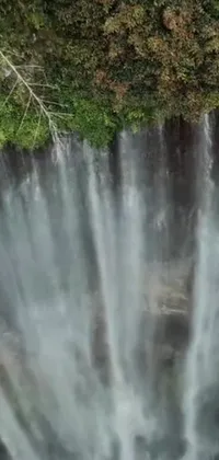 This live wallpaper showcases a stunning aerial shot of a group of individuals standing in front of a gorgeous waterfall