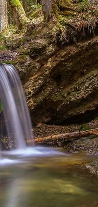 Get lost in the natural beauty of this live phone wallpaper depicting a waterfall flowing through a green forest