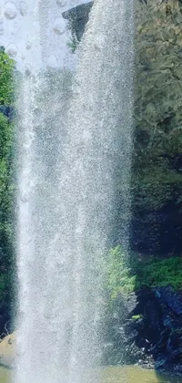 Add a touch of beauty to your phone with this stunning live wallpaper that showcases a serene waterfall
