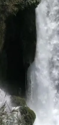 This phone live wallpaper features a captivating image of a man standing in front of a powerful waterfall in Oregon, USA