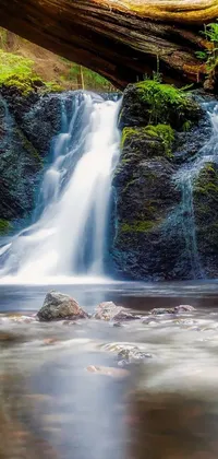 This beautiful live wallpaper features a serene waterfall flowing through a lush green forest
