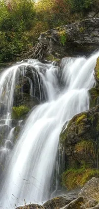 This live wallpaper features a serene waterfall situated in a lush green forest in the Swiss Alps