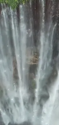 This live wallpaper depicts a group of people standing in front of a mesmerizing waterfall