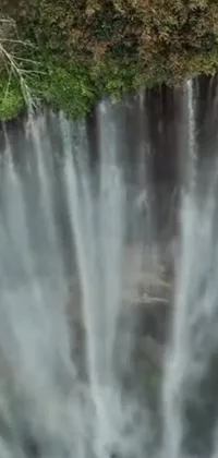 This stunningly realistic live wallpaper provides a captivating bird's eye view of a colossal waterfall