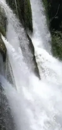 This live phone wallpaper depicts the image of a man triumphantly riding a wave atop a beautiful waterfall