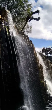 Water Waterfall Tree Live Wallpaper