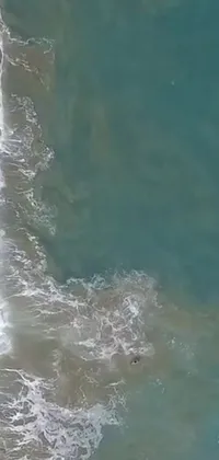 This captivating live wallpaper showcases an overhead view of a surfer riding the waves on a sandy beach