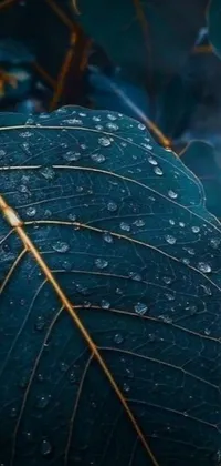 This live phone wallpaper features a photorealistic painting of a water droplet-covered leaf with vibrant gold and dark blue hues