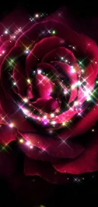 Get mesmerized by a stunning phone live wallpaper - a glowing rose against a dark background