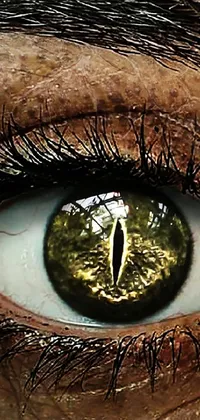 Get captivated by the surreal close-up live phone wallpaper featuring an intricate reptile eye