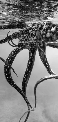This dynamic phone live wallpaper features an intricately detailed black and white photo of an octopus in the water