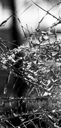 Experience the breathtaking beauty of this black and white live wallpaper featuring a stunning photograph of a broken window