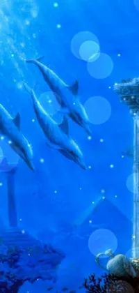 This phone live wallpaper features a breathtaking painting of a group of dolphins gracefully swimming in the vast and stunning ocean